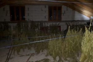 DIICOT: Barbat, retinut pentru savarsirea infractiunii de trafic de droguri de risc (galerie foto)