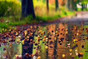 Cerul va fi mai mult noros şi sunt posibile ploi