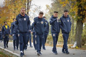 Romania, meci capital cu Suedia, in preliminariile Euro 2020. Tricolorii au doar varianta victoriei