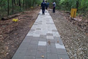 Lacul cu nuferi de la Ipoteşti va fi supravegheat video. Vicepreşedinte CJ: Sperăm să identificăm rău-făcătorii, cât şi persoanele care fac drifturi prin zonă