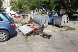 Amenzi de mii de lei pentru gunoi la Piteşti