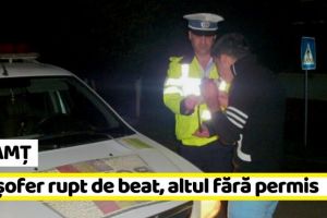 NEAMȚ: Un şofer rupt de beat, altul fără permis