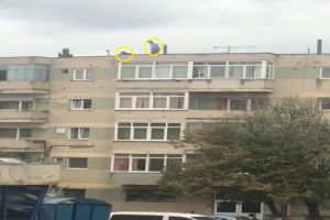FOTO. Câine speriat urcat pe un bloc din Tăşnad, salvat de o femeie