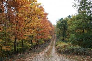 Weekend cu vreme frumoasă, dar este posibilă ceaţa dimineaţa şi noaptea