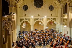 Bătălie pentru postul de director al Filarmonicii din Satu Mare. Rezultatele concursului, contestate