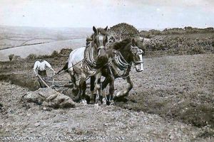 „În pas cu vremea”