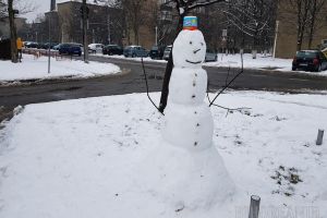 Care nămeţi? Iarna aceasta va fi mai caldă decât în mod normal, dar nu sunt excluse episoadele extreme