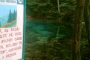 Cazurile concrete de agresiune împotriva patrimoniului UNESCO, înlocuite la Sasca Română cu generalităţi găsite pe internet?!