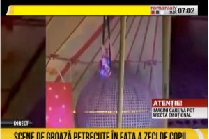 Panica printre spectatori. Accident la circ. O acrobata a cazut de la patru metri inaltime. Copii speriati
