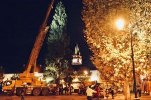 Baia Mare: Bradul de Craciun a fost instalat in Piata Libertatii