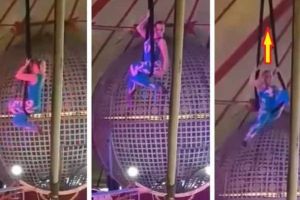 VIDEO. Scene de GROAZĂ în timpul unui spectacol de circ: O acrobată a suferit un ACCIDENT GRAV