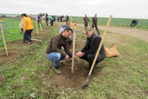 Institutia Prefectului Judetului Constanta a sarbatorit Ziua Dobrogei (galerie foto) 