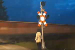 O maşină a fost lovită de o locomotivă la Sărăţel