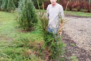 Parcul dendrologic de la Șirioara are deja peste 400 de arbori, plantaţi de Marius Bălan şi de rudele lui