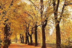 Săptămâna începe cu surprize de la meteo. Cum va fi vremea