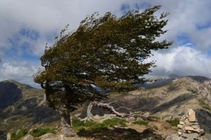 Cod galben de vânt luni dimineaţă în judeţul Sibiu