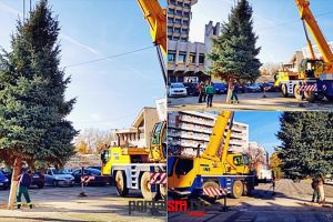 FOTO&VIDEO. Bradul de Crăciun a fost instalat în Piaţa 25 Octombrie din Satu Mare!