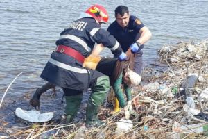 Un cadavru a fost găsit în râul Olt