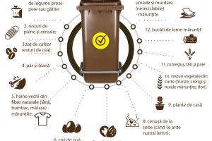IMPORTANT: Începe colectarea separată a deşeurilor biodegradabile în Curtici, Nădlac, Pecica, Pâncota şi Sântana (PROGRAMUL pe ZILE)