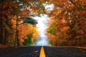 VREMEA se răceşte puternic. Care sunt zonele în care vine frigul