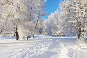 ANM a anunţat când vor fi primele ninsori în România! Urmeaza o iarnă grea, cu zăpadă din abundenţă