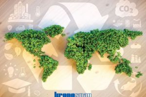 Deşeurile de masă lemnoasă şi din lemn pot fi şi trebuie reciclate