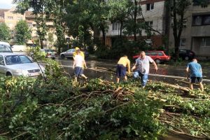 Devastati de furtuna, timisorenii raman o comunitate