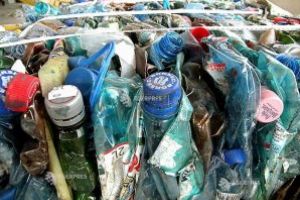 Proiect de colectare selectivă iniţiat de o elevă de clasa a IV-a la o şcoală din Bucureşti