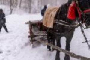 Căluşari, sanie trasă de cai prin zăpadă şi alte surprize în decembrie! Turiştii, invitaţi la o experienţă inedită în judeţul Timiş