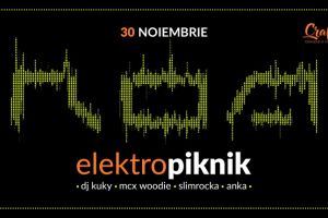 Concert R.O.A. şi o noapte elektrikă, la Craft Pub în Timişoara!