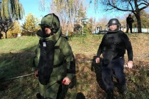 UPDATE/ Pericol de MOARTE în PARCUL EUROPA: Intervenţie DIFICILĂ a autorităţilor (FOTO/VIDEO)