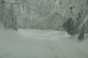 Judeţul Timiş este pregătit pentru iarnă. Dar nu peste tot!