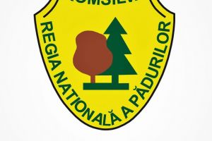 Concursul organizat de catre Romsilva, un succes important in recrutarea de ingineri silvici stagiari  