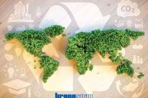 Comunicat de presă: Deşeurile de masă lemnoasă şi de lemn pot fi şi trebuie reciclate