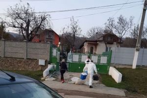 Pesta porcină africană a apărut şi la Bezdead!