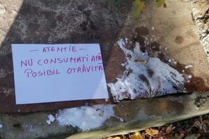 Criminaliştii au prelevat probe din fântâna posibil intoxicată. Se aşteaptă verdictul de la Bucureşti