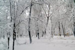 Veste rea de la ANM. Iarna aceasta ar putea fi cea mai grea din ultimii 30 sau chiar 100 de ani!