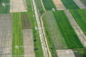 Clubul Fermierilor Români lansează un program pentru pregătirea generaţiei de tineri şi reconstruirea încrederii în antreprenoriatul agricol