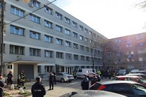 Nereguli grave descoperite la firma de dezinsecţie vizată în dosarul Mioriţa 8. Niciun control în 4 ani!