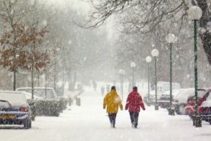 Sfârşit de noiembrie cu temperaturi blânde. Totuşi, când vine iarna?