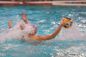 Patru jucători de la CSM Oradea, convocaţi la prima reprezentativă de polo a ţării la Campionatul European