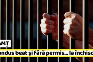 NEAMȚ: Un tânăr care a condus beat şi fără permis va sta 1 an şi 6 luni după gratii