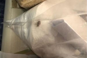 Control la un magazin alimentar din zona km 4-5. Ce au descoperit comisarii CJPC Constanta (galerie foto)