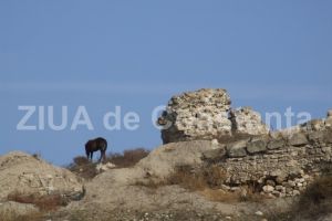 Actaeon SA nu s-a calificat pentru reabilitarea cladirii Muzeului de Istorie. In schimb, va restaura Cetatea Carsium de la Harsova!