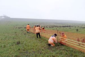 FOTO Zeci de kilometri de parazăpezi pe drumurile naţionale. Nevoile sunt mult mai mari decât ceea ce deţin drumarii din Botoşani