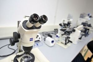 Rezultate preliminare ale autopsiilor celor doi copii, din blocul de pe Mioriţa 8