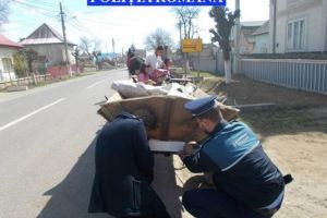 Acţiune de prevenire a accidentelor rutiere în care sunt implicate căruţe, în zona Gura ...
