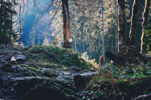 Sibiul va fi Capitala Europeană a Drumeţiei peste doi ani