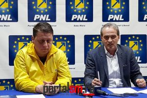 Preşedintele PNL Satu Mare, Albu: „Absenţa la vot e un vot pentru Dăncilă!”