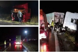 Au ajuns de pe carosabil la iarbă verde